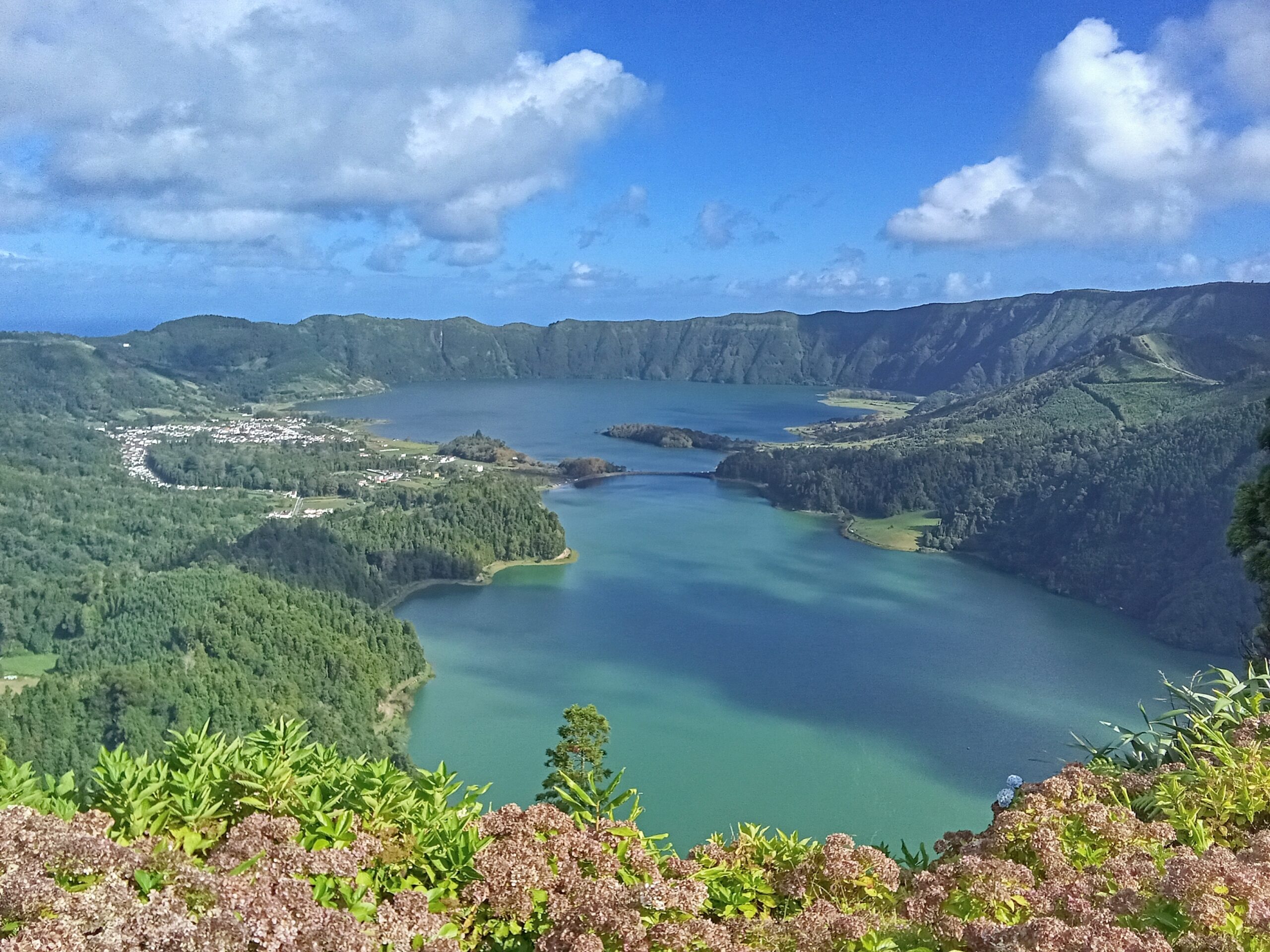 IMG_20251015_113353[1]